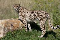 Cjp_2011_08_01_085644 (2).jpg